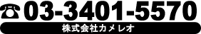 株式会社cameleo